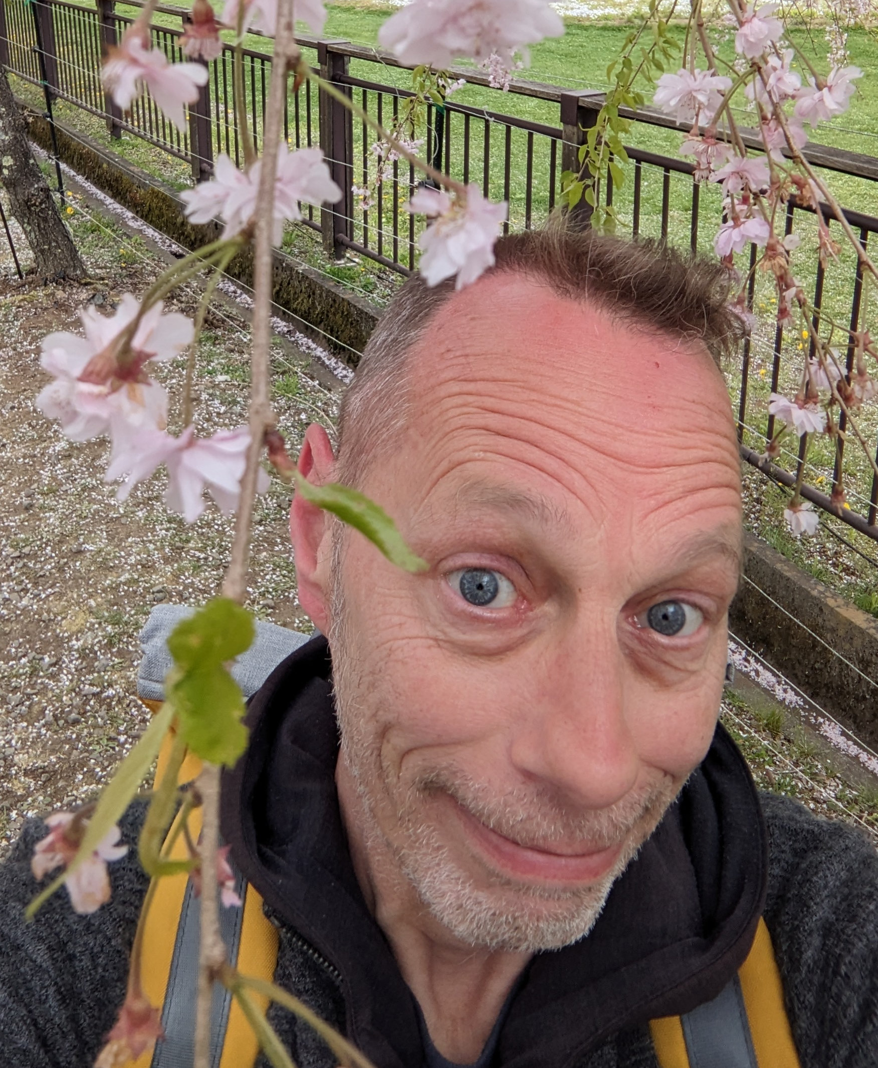 Once upon a day in Japan